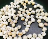 A picture of step 1 of Gud Makhana/ Fox nuts with Jaggery.