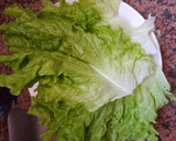 Foto del paso 1 de la receta: Ensalada de remolacha, lechuga, queso, pasas, y nueces