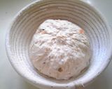 A picture of step 9 of Pain de Campagne With Seeds and Dried Fruit.