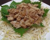 A picture of step 5 of Pan-Fried Ginger Pork Belly Slices.