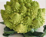 Foto del paso 1 de la receta: Romanescu con patatas al horno