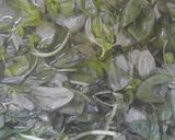 A picture of step 1 of Pesto of basil and pine nuts.