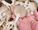Hình bước làm 1 của món Nấm bào ngư lăn bột