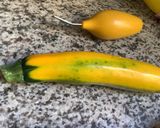 Une image de l'étape 4 de Merlan 🦈entre 🌿terre 🥕🧄et mer🥣.