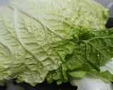 Foto langkah ke 1 dari resep #247 Sawi Gulung Tahu.
