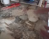 Foto del paso 3 de la receta: Día de lluvia especial para las torta fritas de grasa 🤤💪