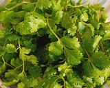 A picture of step 2 of Homegrown Fresh Mint Ki Spicy Chutney 🌶️🌿🌶️🌿🌶️.