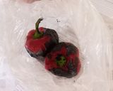 Foto del paso 1 de la receta: Chiles rellenos a la biblia