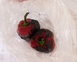 Foto del paso 1 de la receta: Chiles rellenos a la biblia