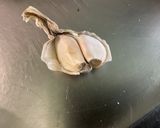 Une image de l'étape 9 de Flan aux champignons, magret de canard et courgette.