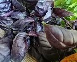 Une image de l'étape 9 de Bouchée de la reine aux legumes basilic pourpre et vert🌶️🌿🌿.