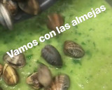 Foto del paso 3 de la receta: Almejas en salsa verde