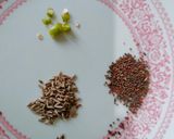 A picture of step 2 of #RYS#Santula-a traditional Odisha vegetable dish.