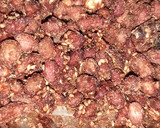 Foto del paso 4 de la receta: Maní Confitado con Azúcar Rubia