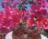Foto del paso 8 de la receta: Torta de plano