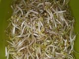 Tumis Kecambah
