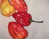 Foto del paso 1 de la receta: Sao afroantillano de patita de puerco