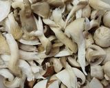 Gombapaprikás juhtúrós puliszkával recept fázis 1 fotója