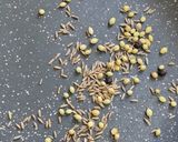 A picture of step 1 of Mooli ki Chutney.