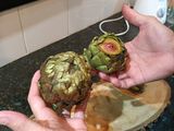 Alcauciles a la Romana (Carciofi a la Romana)