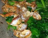 Foto langkah ke 5 dari resep Tumis Sawi Hijau dan Ikan Asin.