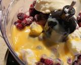 Tripe Berry Frozen Yoghurt