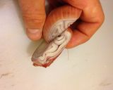 A picture of step 3 of How to Mince a Shallot.