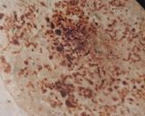 A picture of step 9 of Aloo parantha.