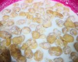 A picture of step 3 of Fresco k famous dahi baray.