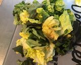 Une image de l'étape 8 de Salade de printemps aux radis cerises et mozzarella di buffala.