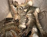 Foto langkah ke 1 dari resep 41. Udang Goreng Garam.