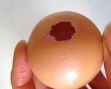 A picture of step 2 of Mystery Egg?.