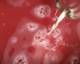 A picture of step 1 of Watermelon juice.