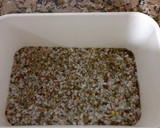 Foto del paso 2 de la receta: Codillo especiado al horno