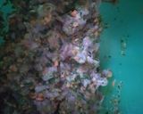 Foto langkah ke 1 dari resep Pangsit isi tuna sayur.