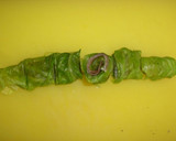 A picture of step 7 of Rolled Cabbage and Cured Ham.
