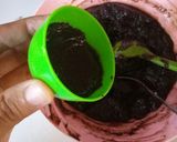 Foto langkah ke 3 dari resep Brownies Kukus.