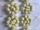 Klepon cookies isi palm sugar