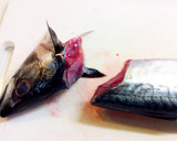 A picture of step 8 of How to Fillet a Whole Fish.