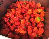 Une image de l'étape 1 de Sauce extra forte aux deux piments,oignons,tomates,gingembre et aromates.