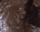 Foto langkah ke 4 dari resep Pennylane Brownies.