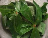Foto langkah ke 2 dari resep Gulai Udang Daun Singkong.