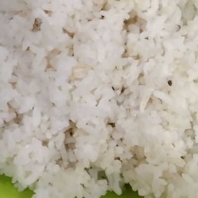 Langkah 1