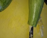 Foto del paso 2 de la receta: Zucchini relleno O Cusa