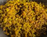A picture of step 2 of Moong Moth Sprouts Chaat - Protein-Rich Weight Loss Healthy chaat.