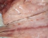 Foto del paso 3 de la receta: Corvina Salvaje a la Plancha con Mayonesa de Yakiniku