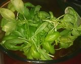 A picture of step 1 of Tex's Microwave Dried Herbs 🌿.