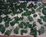 A picture of step 4 of Kale-freezing.