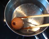 A picture of step 6 of Mystery Egg?.