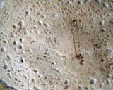 A picture of step 1 of Instant idly batter dosa!.